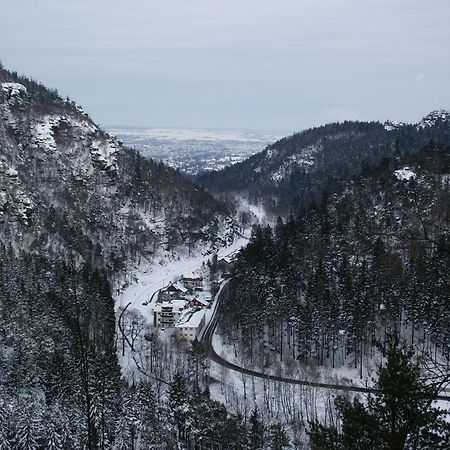 Wohlfuehlzeit Im Zittauer Gebirge Apartment Exterior foto