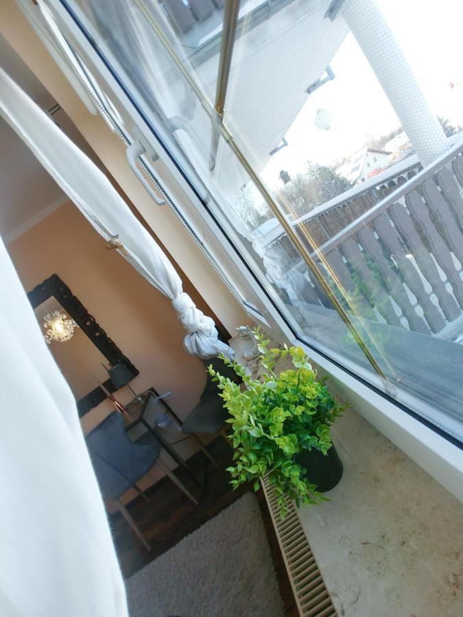 Wohlfuehlzeit Im Zittauer Gebirge Apartment Exterior foto